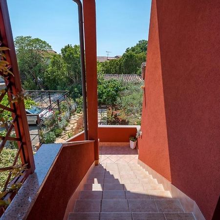 Iva House With Apartment Умаг Экстерьер фото